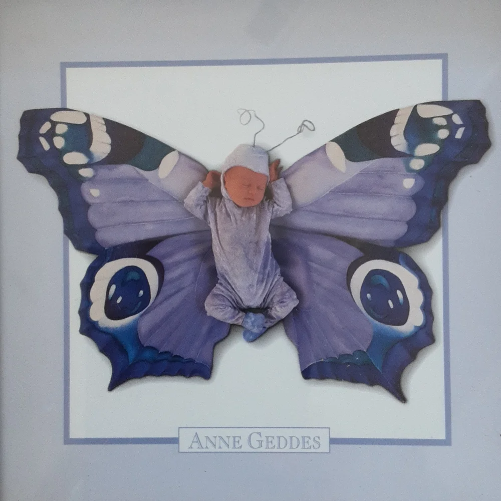 ✨️ANNE GEDDES - set of two butterfly lithographs